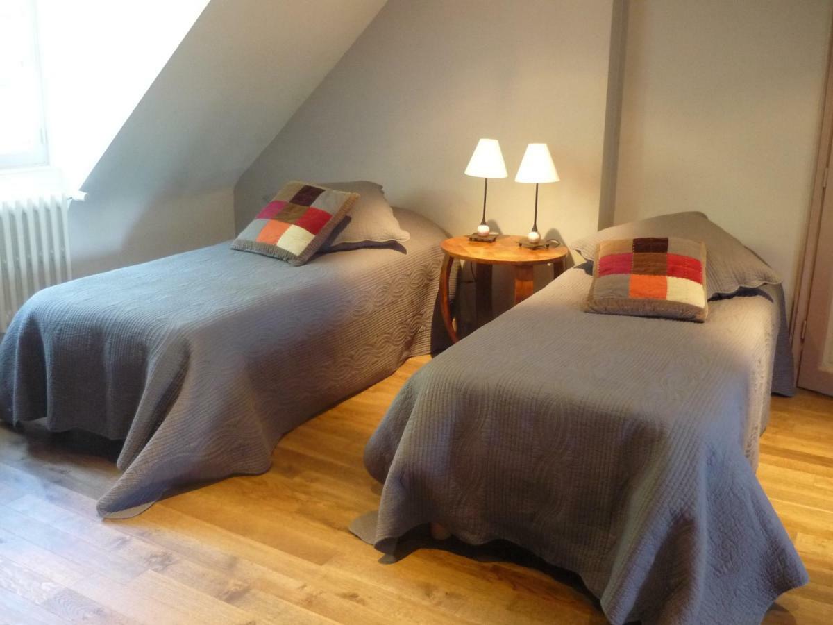 アテ・シュル・シェール Manoir De La Vigneraie Bed & Breakfast エクステリア 写真